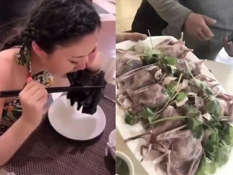 網上流傳女子手執原隻蝙蝠進食,以及蝙蝠刺身。(網圖)