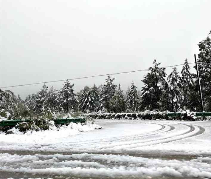 黑龍江省由昨日至今晨大範圍落大雪。資料圖片