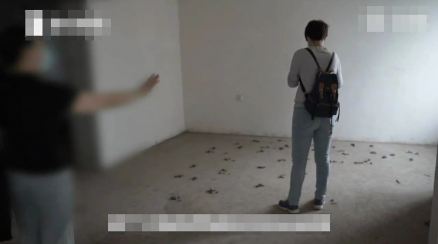 開門後只見滿地狗糞。 網圖