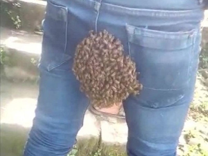 一名男子的臀部竟成為蜂群的家,讓旁人哭笑不得。(網圖)
