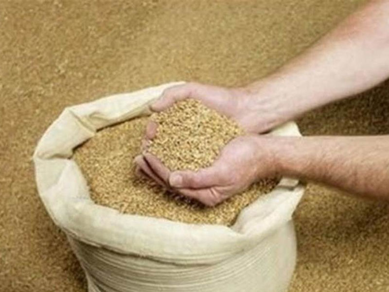 中國將首次從阿根廷進口飼料豆粕。(網圖)