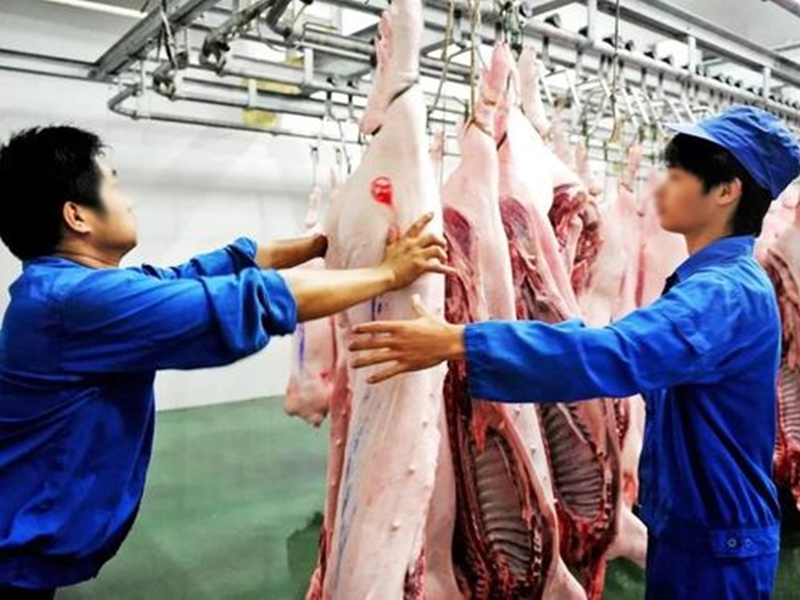 不少市民都紛紛哀歎今年豬價太貴。示意圖