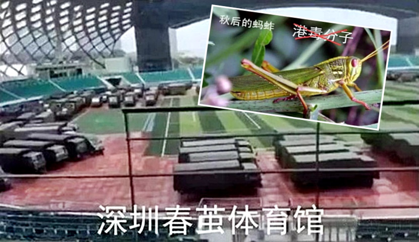 解放軍多布多輛綠色軍車停在深圳春繭體育館的照片,又指蝗蟲「在秋天會逐漸絕跡」。