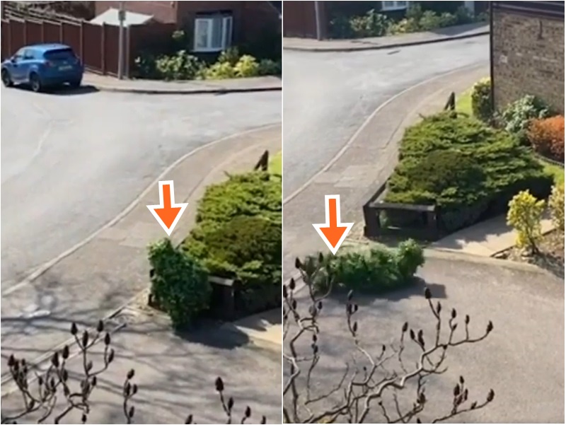 英國有居民打扮成草人偷偷外出。影片截圖