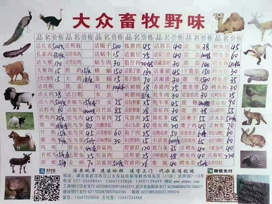 網圖