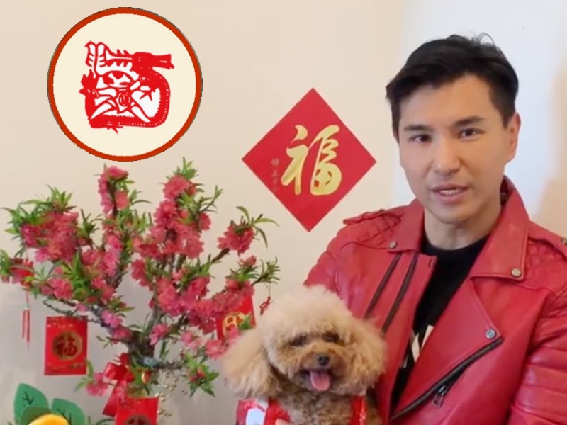 肖龍的陳展鵬。