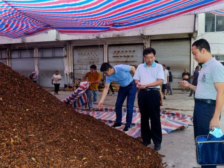 廣西市場監管局工作人員檢查經營戶待銷八角質量情況。(圖:廣西市場監管局)