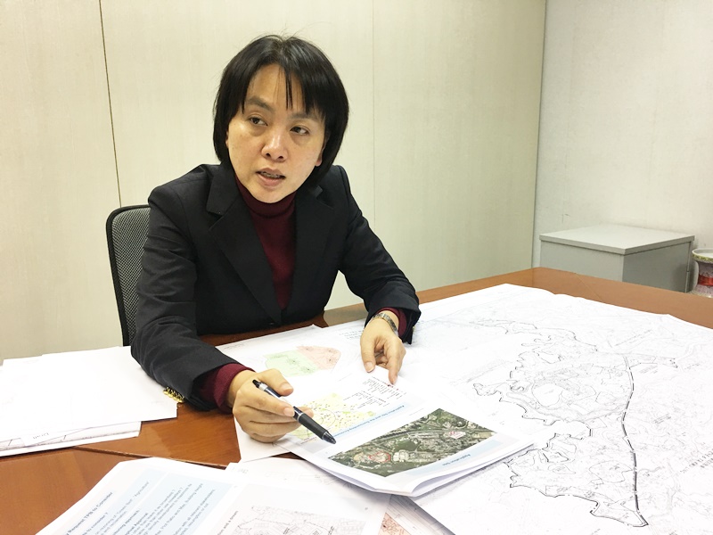劉詩韻正嘗試「撮合」四名不同業主,向城規會申請將位於粉嶺龍躍頭的二十萬呎棕地。