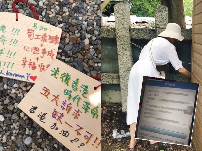 網圖