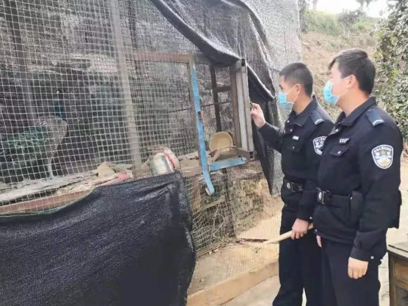 內地近月積極打擊野味範圍,多次破獲野味非法交易案件。網圖