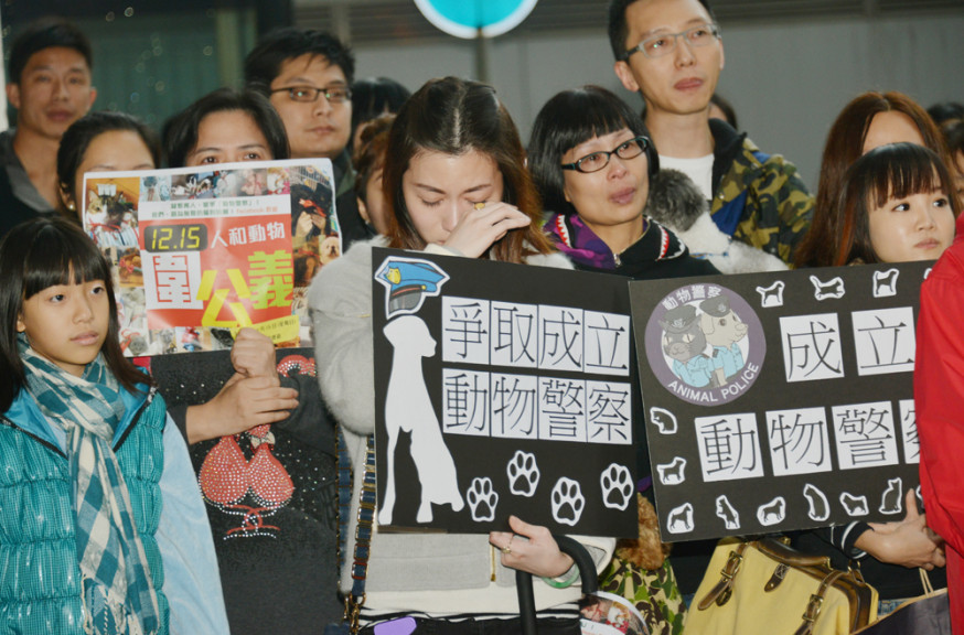 近來社會不少聲音要求政府正視虐殺動物事件。 資料圖片