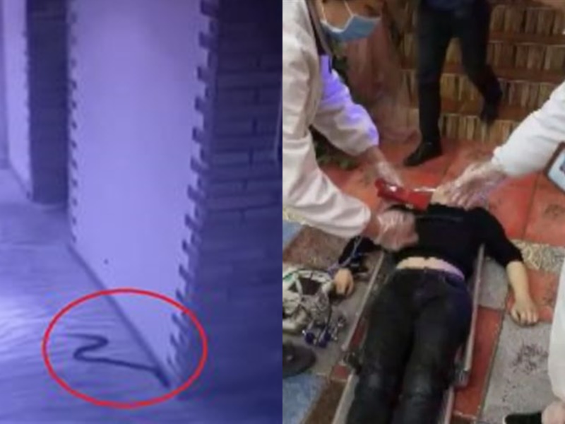 江西男事後遭蛇咬身亡。網上圖片