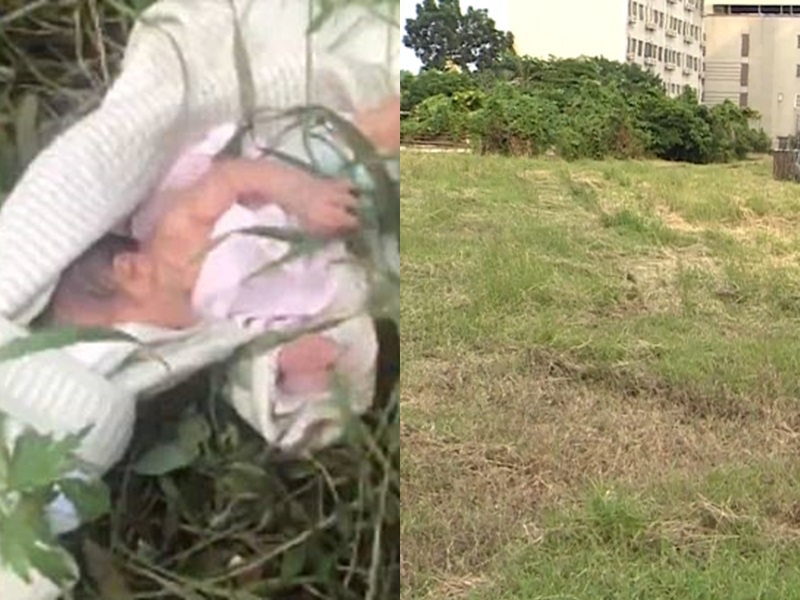 台灣情侶,將自己的初生嬰兒抛棄在草地裡面自生自滅。網圖/示意圖