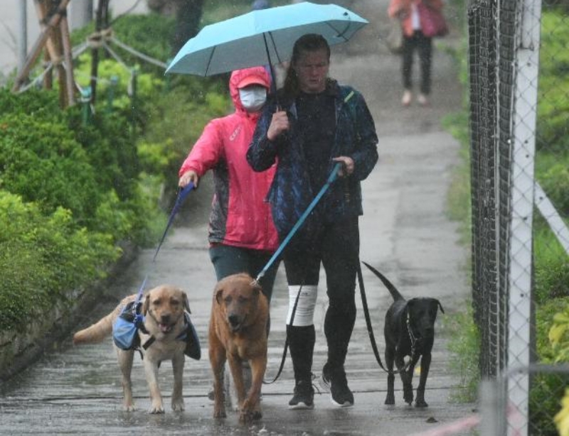 天文台預料今日狂風雷暴。資料圖片